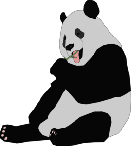 Machovka-panda